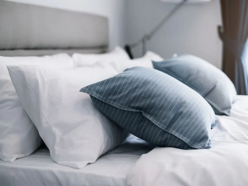 Kích thước ruột gối tương xứng với các loại sản phẩm bao gồm gối tựa lưng, gối ngủ
